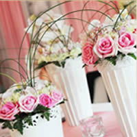 婚礼策划全方位指南 从爱情故事到完美婚宴